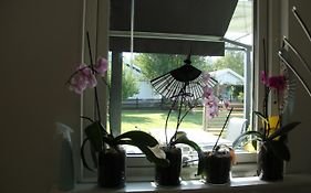 Private Room For Rent In A Villa With Garden View